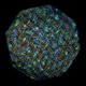 Image for article titled The blue of berries isn't blue at all